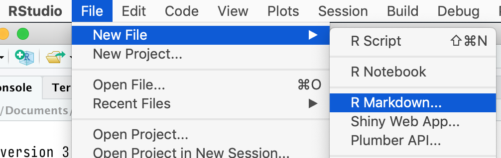 R Studio menu