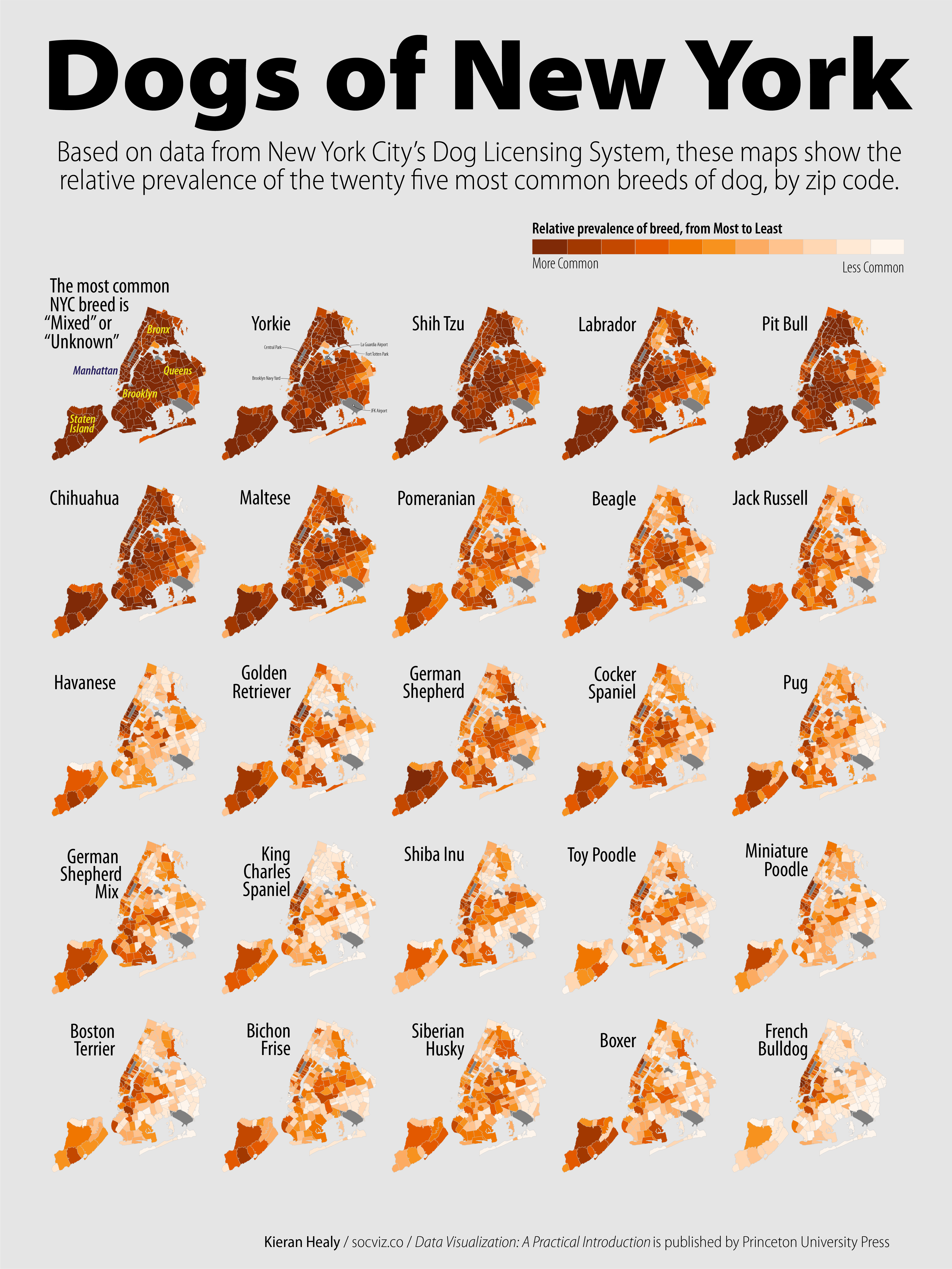 Dogs of New York Poster