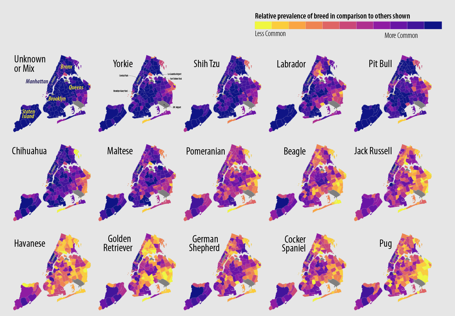 Dogs of New York - Plasma version