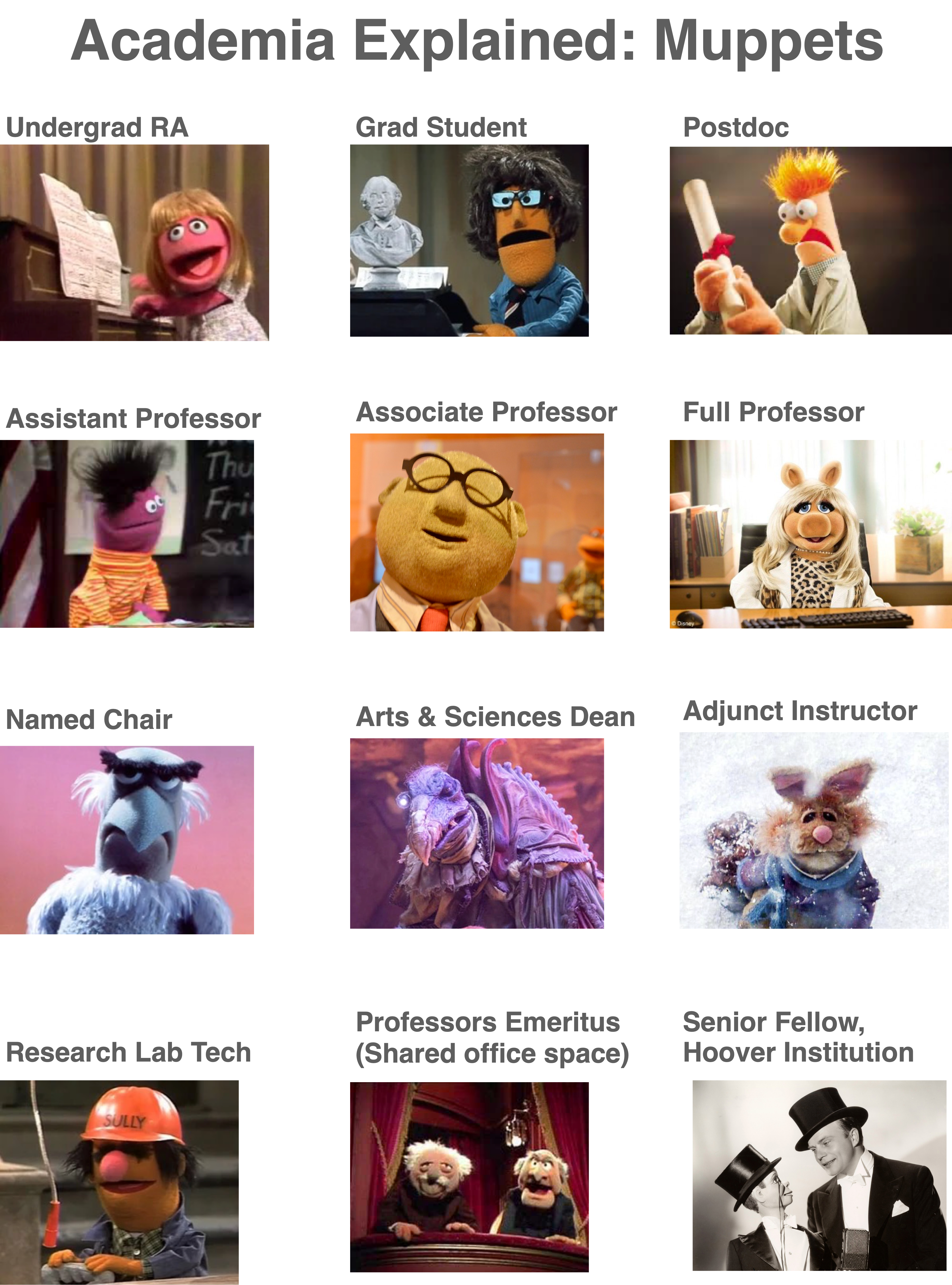 Muppets and Faculty